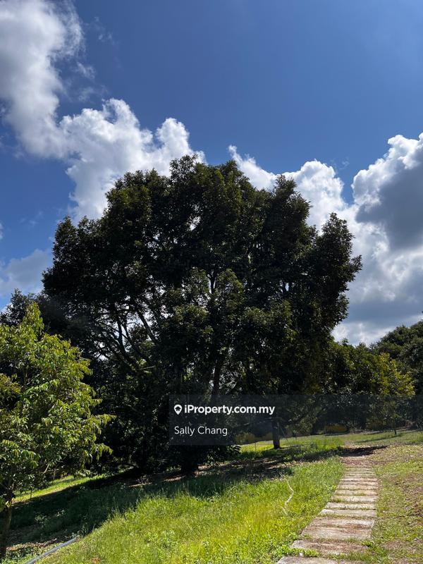 Agricultural Land for Sale in Jelebu, Titi by Sally Chang - iProperty.com.my