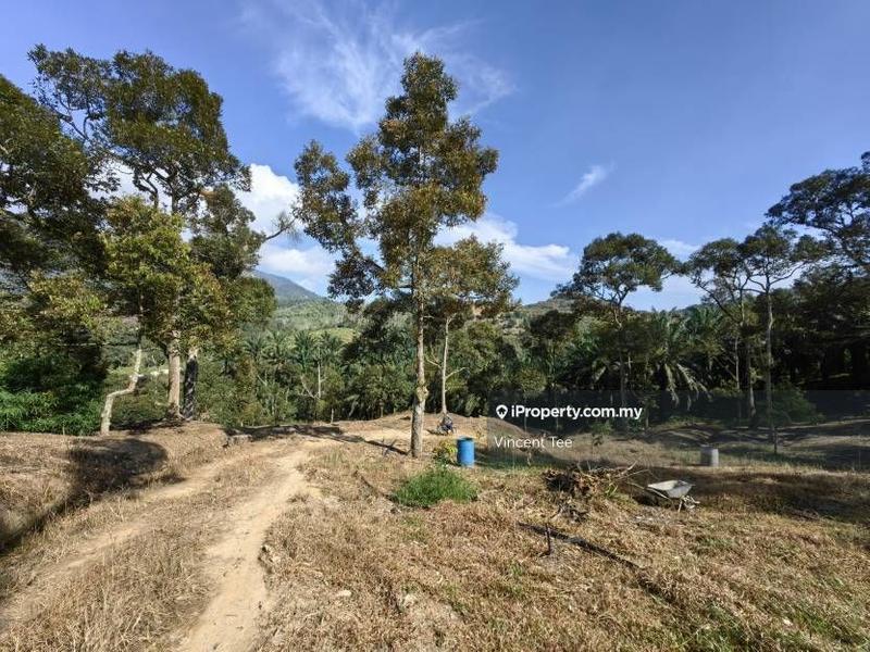 Tanah Pertanian untuk Dijual di Cheroh, Raub oleh Vincent Tee - iProperty.com.my