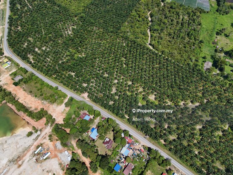 Agricultural Land for Sale in UITM Merbok, Merbok by Adam Wong - iProperty.com.my