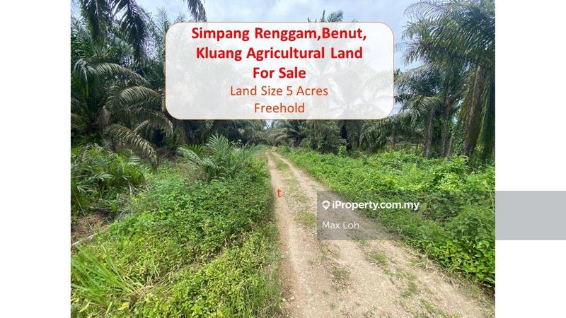For Sale - Simpang Renggam, Benut, Kluang, Agricultural Land