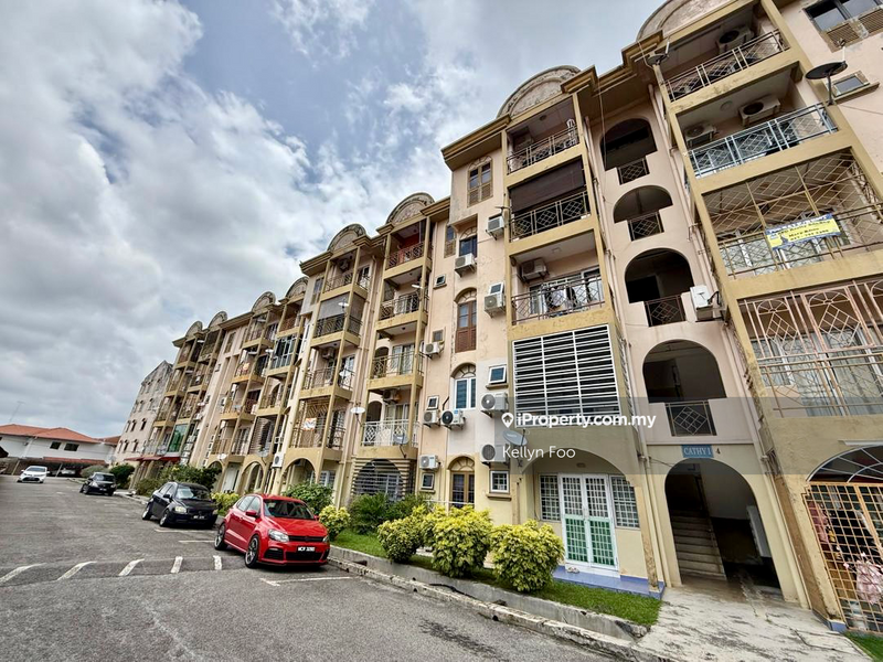 For Sale - Golden Showers (Kondo Ruby)