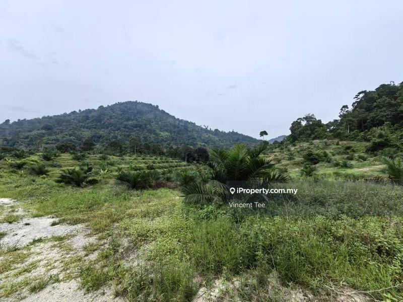 Tanah Pertanian untuk Dijual di Kampung Renal, Kuala Klawang oleh Vincent Tee - iProperty.com.my