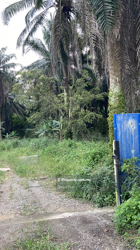 Tanah Perindustrian untuk Dijual di Broga , Semenyih, Semenyih oleh Tony Chun - iProperty.com.my