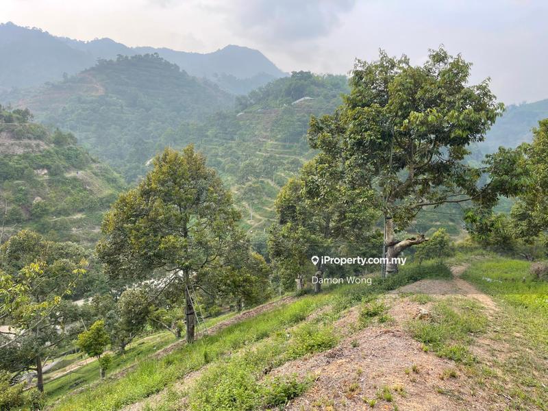 Tanah Pertanian untuk Dijual di Sungai Chetang, Raub oleh Damon Wong - iProperty.com.my