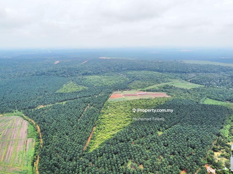 Tanah Perindustrian untuk Dijual di Sungai Petani, Kedah oleh Mohamad Faleeq - iProperty.com.my