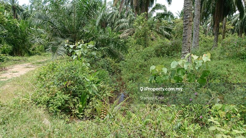 Tanah Perindustrian untuk Dijual di Bestari Jaya, Selangor oleh Stanley Chin - iProperty.com.my