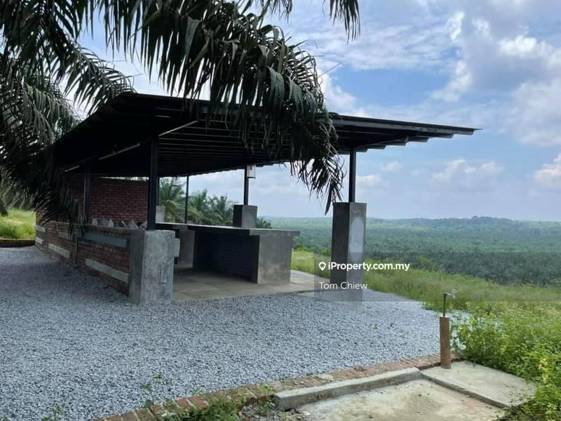 Tanah Pertanian untuk Dijual di Kota Tinggi, Kota Tinggi oleh Tom Chiew - iProperty.com.my