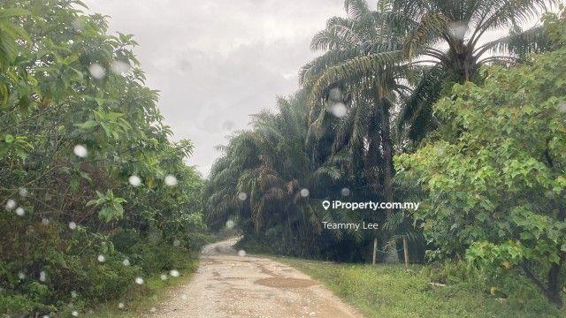Agricultural Land for Sale in Meru, Klang by Teammy Lee - iProperty.com.my