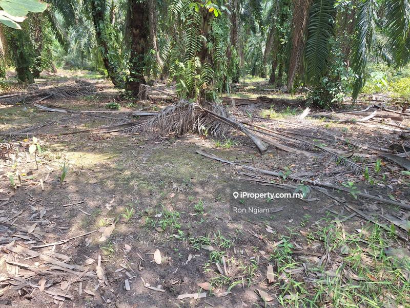 Agricultural Land for Sale in Telok Panglima Garang, Selangor by Ron Ngiam - iProperty.com.my