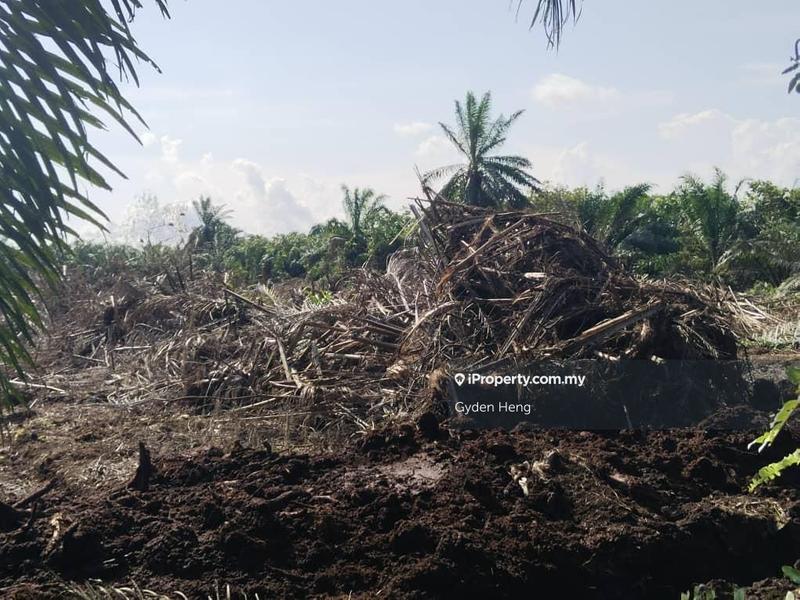 Agricultural Land for Rent in Kampung Parit Sikom Lapis, Ayer Baloi by Gyden Heng - iProperty.com.my