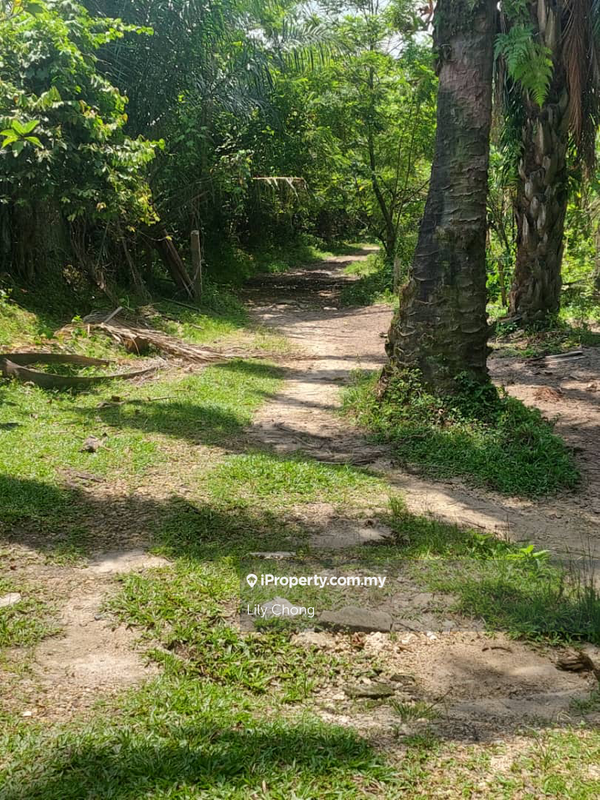 Agricultural Land for Sale in Klebang Impian, Chemor by Lily Chong - iProperty.com.my