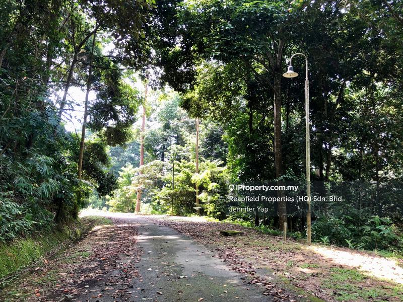 Residential Land for Sale in Janda Baik, Bentong by Jennifer Yap - Tarred roads, lamp posts, power & water supply.  - iProperty.com.my