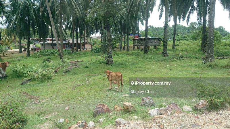 Tanah Perindustrian untuk Dijual di Bestari Jaya, Selangor oleh Stanley Chin - iProperty.com.my
