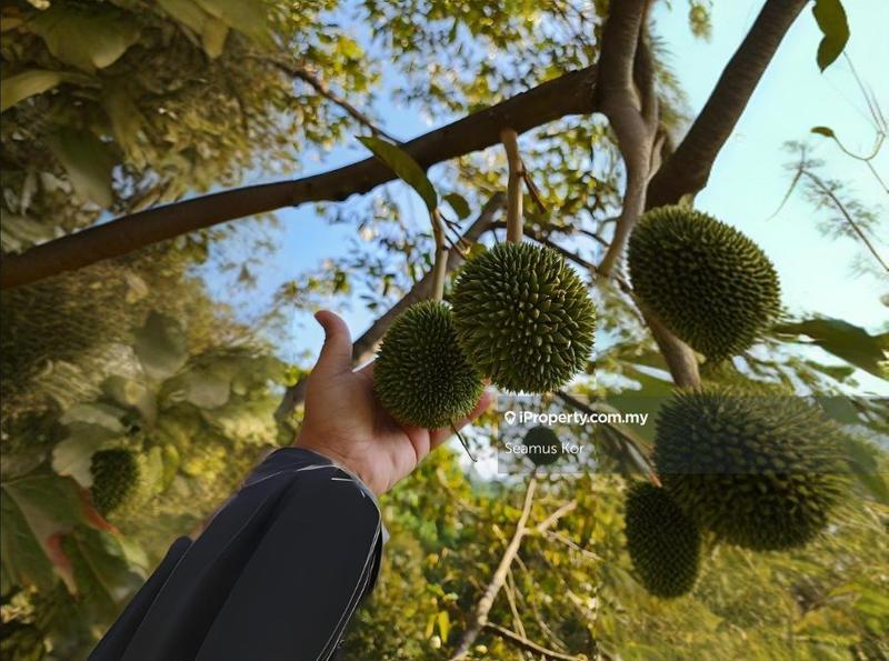 Hotel / Resort untuk Dijual di Karak, Pahang oleh Seamus Kor - iProperty.com.my