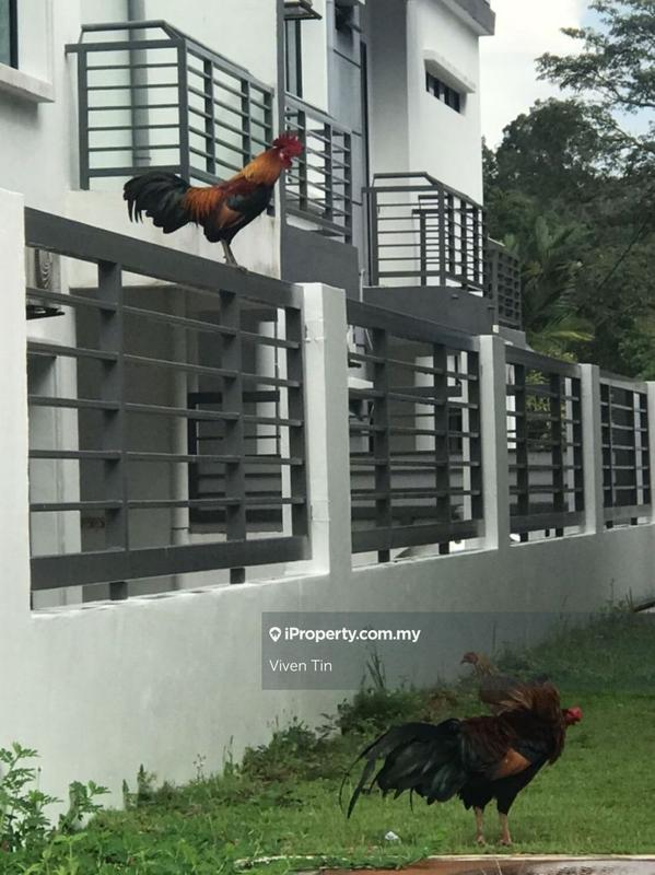 Semi-Detached House for Sale in Taman Bukit Bentong, Bentong by Viven Tin - iProperty.com.my