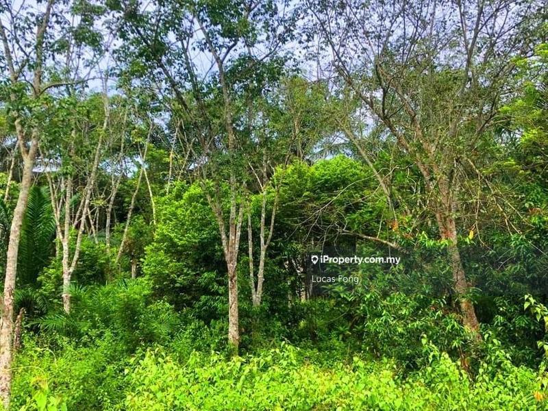 Tanah Pertanian untuk Dijual di Sungai Siput 2.5Acres Main Road Agriculture Land, Sungai Siput oleh Lucas Fong - iProperty.com.my