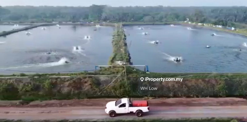 Tanah Pertanian untuk Dijual di Pulau Carey, Klang oleh WH Low - iProperty.com.my