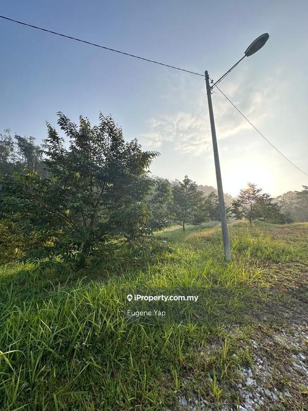 Agricultural Land for Sale in Serendah, Rawang by Eugene Yap - iProperty.com.my