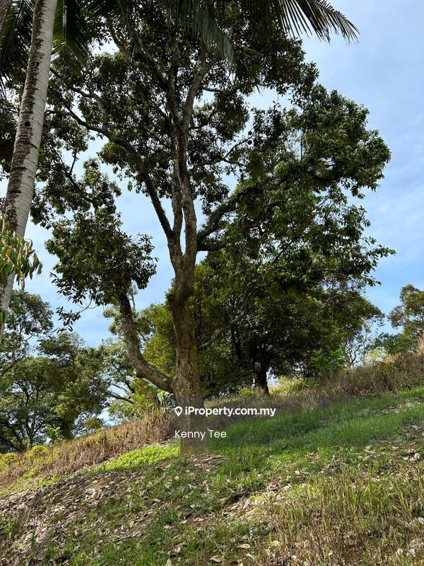 Tanah Pertanian untuk Dijual di Felda Titi, Titi oleh Kenny Tee - Exterior - iProperty.com.my
