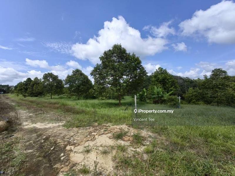 Agricultural Land for Sale in Bandar Lipis, Kuala Lipis by Vincent Tee - iProperty.com.my