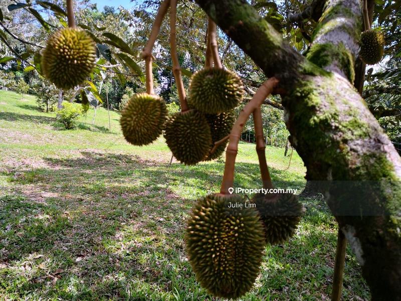 Tanah Pertanian untuk Dijual di Kampung Kuala Slim, Slim oleh Julie Lim - iProperty.com.my