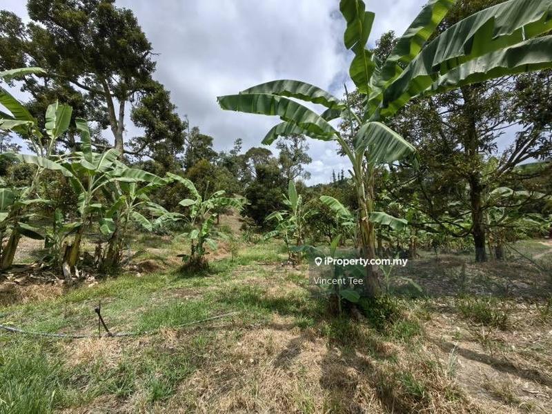 Tanah Pertanian untuk Dijual di Cheroh, Raub oleh Vincent Tee - iProperty.com.my