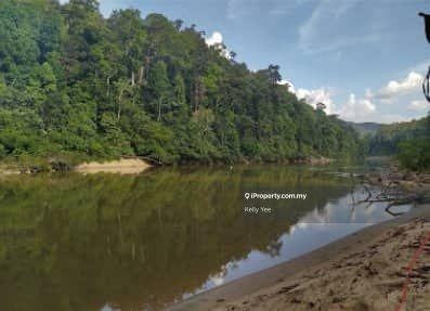 Agricultural Land for Sale in Primary Rain Forest Land in Ulu Tembeling for Sale, Jerantut by Kelly Yee - iProperty.com.my