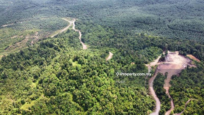 Agricultural Land for Sale in Kuala Rompin, Pahang by Huda - iProperty.com.my