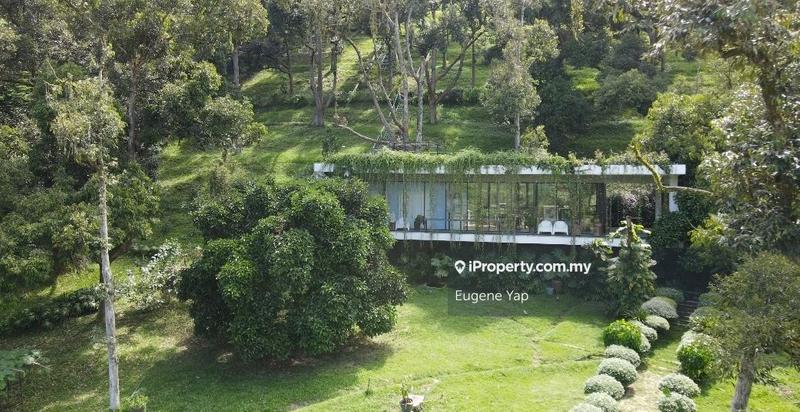 Agricultural Land for Sale in Bukit Tinggi, Bentong by Eugene Yap - iProperty.com.my