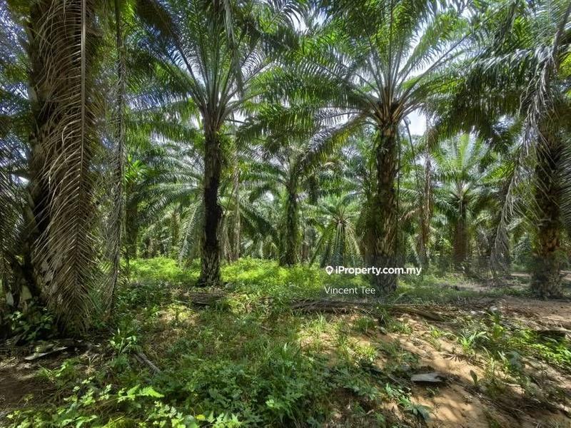 Tanah Pertanian untuk Dijual di Taman Jelebu, Kuala Klawang oleh Vincent Tee - iProperty.com.my