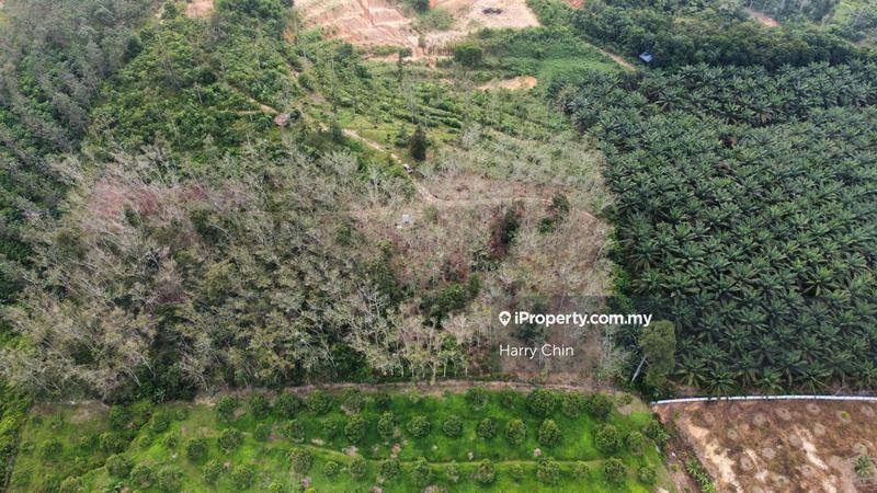 Agricultural Land for Sale in Karak, Pahang by Harry Chin - iProperty.com.my