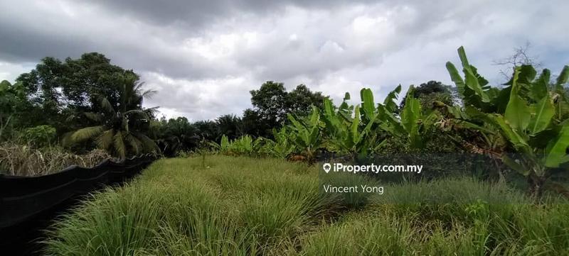Agricultural Land for Sale in Kota Jaya, Kota Tinggi, Kota Tinggi by Vincent Yong - iProperty.com.my