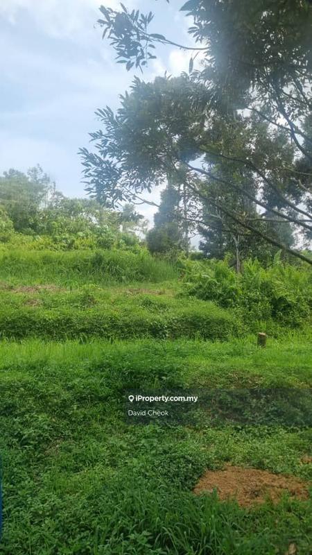 Agricultural Land for Sale in Taman Kelab Tuanku, Rantau by David Cheok - iProperty.com.my