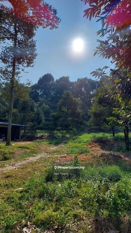 Agricultural Land for Sale in Taman Jelebu, Kuala Klawang by Ken Tham - iProperty.com.my