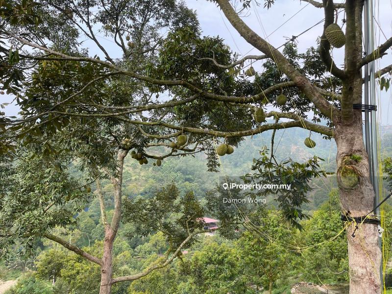 Tanah Pertanian untuk Dijual di Sungai Chetang, Raub oleh Damon Wong - iProperty.com.my