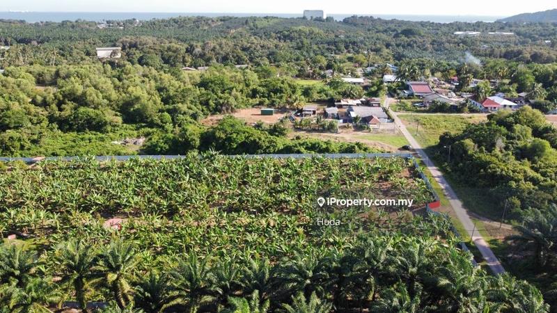 Agricultural Land for Sale in Port Dickson, Pasir Panjang by Huda - iProperty.com.my