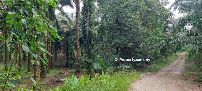 Tanah Pertanian untuk Dijual di Taman Dengkil, Dengkil oleh Henry Ta - iProperty.com.my