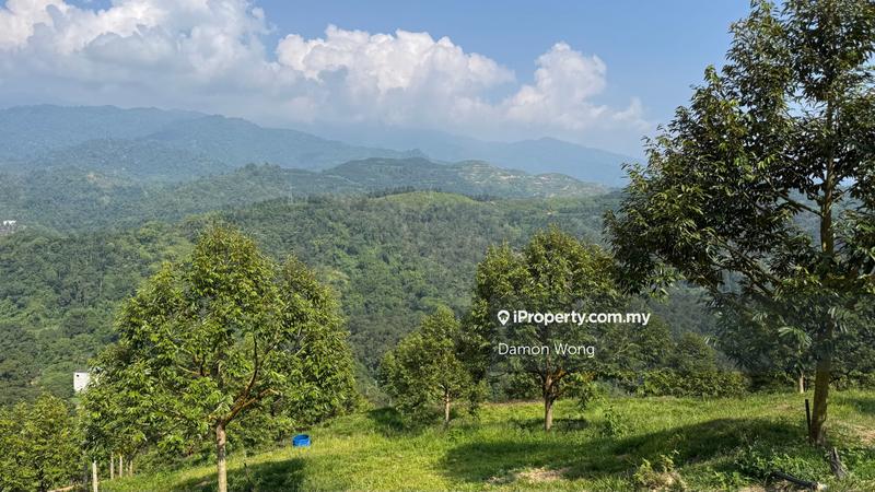 Agricultural Land for Sale in Jalan Tras, Bentong by Damon Wong - iProperty.com.my