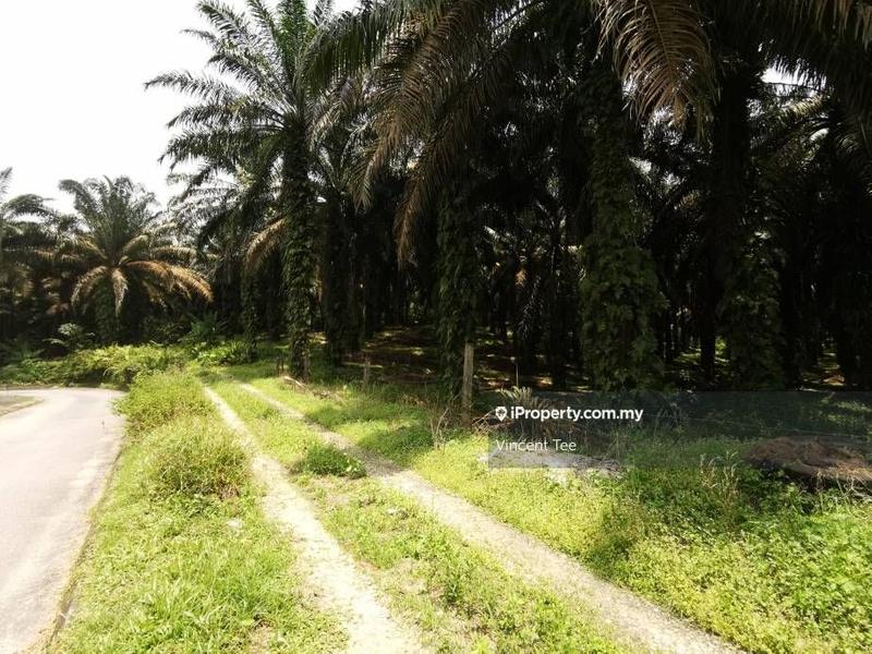 Tanah Kediaman untuk Dijual di Bidor, Perak oleh Vincent Tee - iProperty.com.my