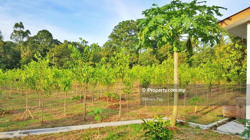Tanah Pertanian untuk Dijual di Broga, Lenggeng oleh Steven Tay - iProperty.com.my