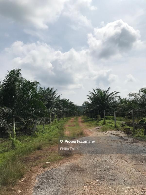 Agricultural Land for Sale in Kuala Selangor, Selangor by Philip Thien - iProperty.com.my