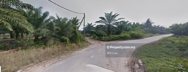 Tanah Pertanian untuk Dijual di Pulau Carey, Klang oleh WH Low - iProperty.com.my