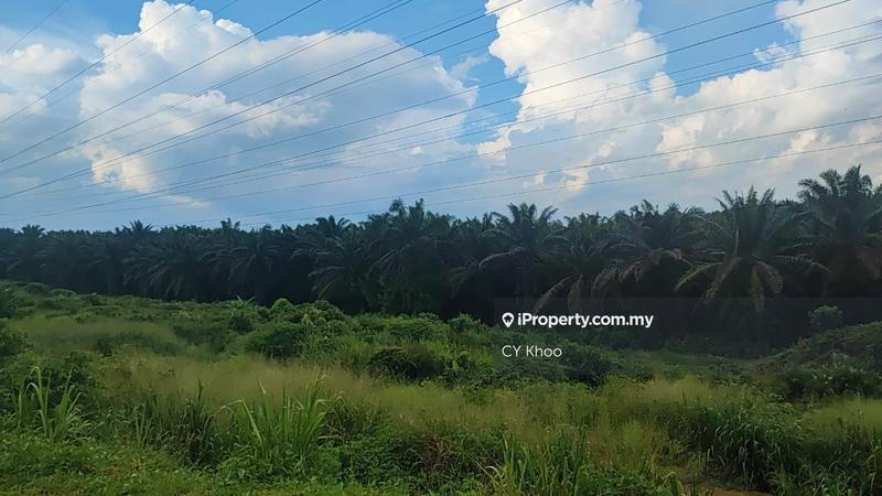 Agricultural Land for Sale in Johor Kluang Taman Puteri 1168 acres Mix deverlope, Kluang by CY Khoo - iProperty.com.my