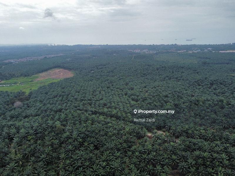 Agricultural Land for Sale in 500 Acre Agricultural Land Zoning Industry, Melaka City by Akmal Zaidi - iProperty.com.my