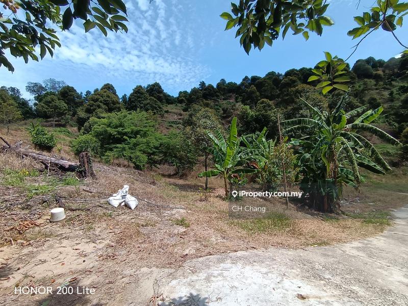 Tanah Pertanian untuk Dijual di Kampung Sungai Pinang, Balik Pulau oleh CH Chang - iProperty.com.my
