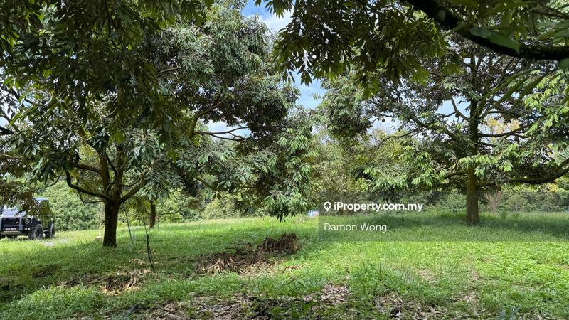 Tanah Pertanian untuk Dijual di Sg Ruan, Raub oleh Damon Wong - iProperty.com.my