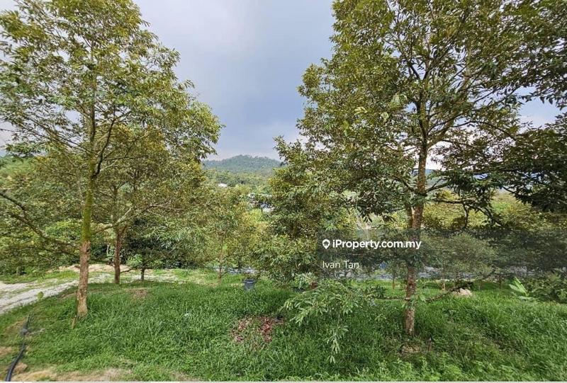 Tanah Pertanian untuk Dijual di Kampung Sungai Makau, Hulu Langat oleh Ivan Tan - iProperty.com.my