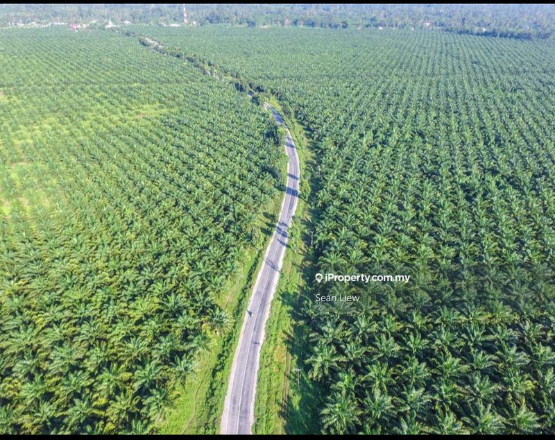 Agricultural Land for Sale in Kluang, Johor, Kluang by Sean Liew - iProperty.com.my