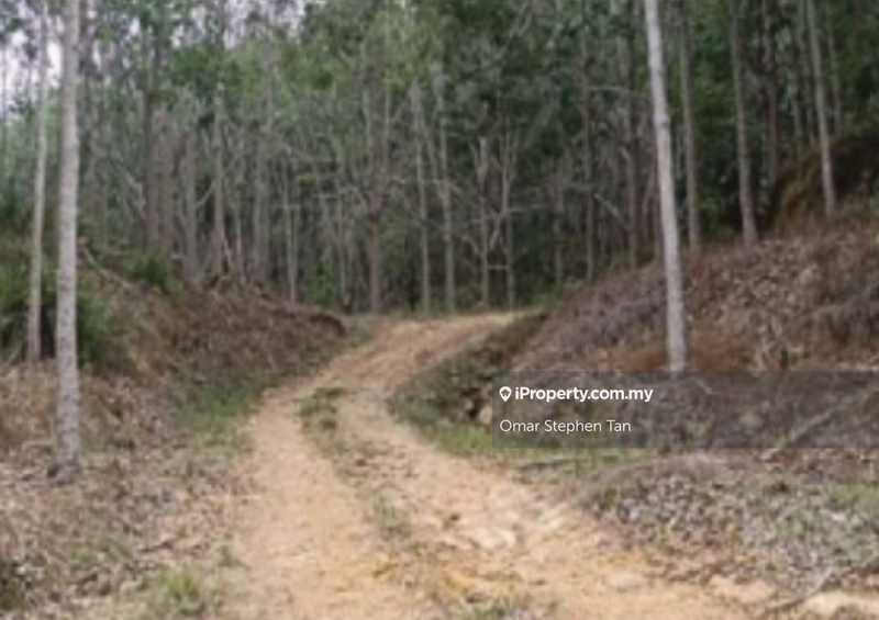 Agricultural Land for Sale in Kota Marudu, Sabah by Omar Stephen Tan - iProperty.com.my