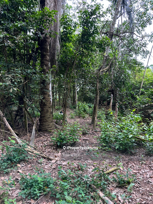 Agricultural Land for Sale in Taman Bemban Utama, Bemban by Edwin Koh - iProperty.com.my